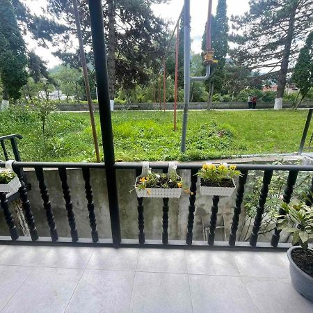 New Borjomi Apartment Exterior foto