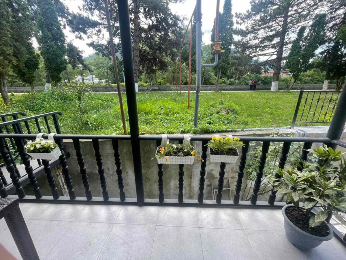 New Borjomi Apartment Exterior foto